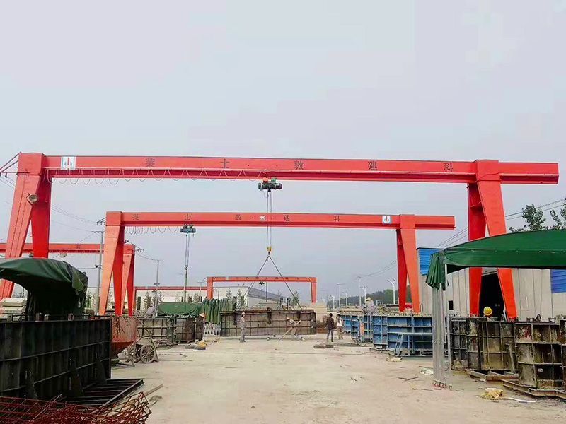 Shandong Longmen Crane Manufacturer